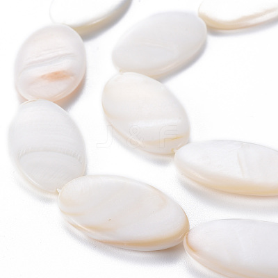 Natural Freshwater Shell Beads Strands SHEL-N026-169-1