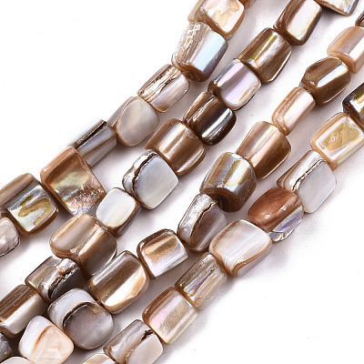 Natural Freshwater Shell Beads Strands SHEL-N026-124-1