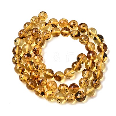 Natural Amber Beads Strands G-K376-H03-01-1