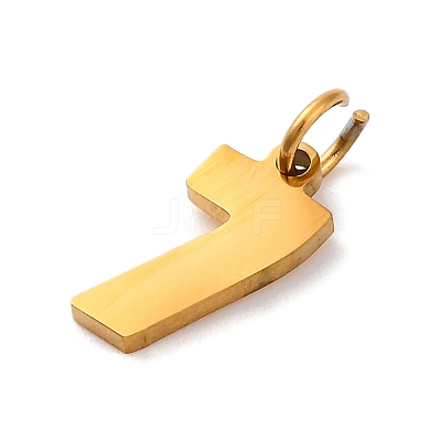 304 Stainless Steel Charms LS-STAS-A106-01G-07-1