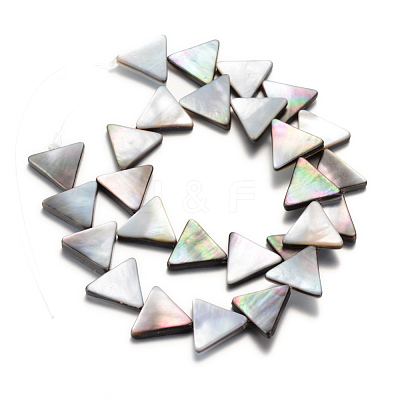 Natural Black Lip Shell Bead Strands SHEL-R018-03-1