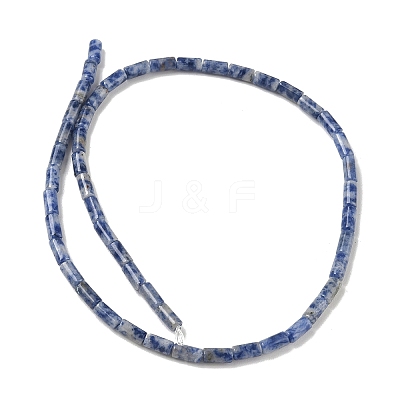 Natural Blue Spot Jasper Beads Strands GG-B091-A25-01-1