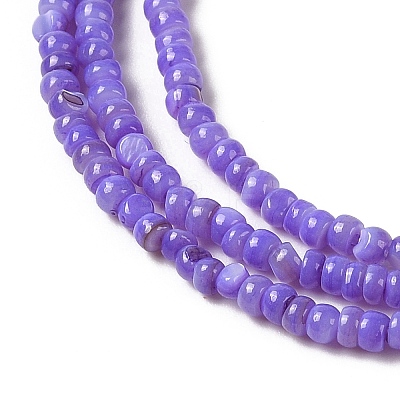 Natural Freshwater Shell Beads Strands SHEL-P017-01B-04-1