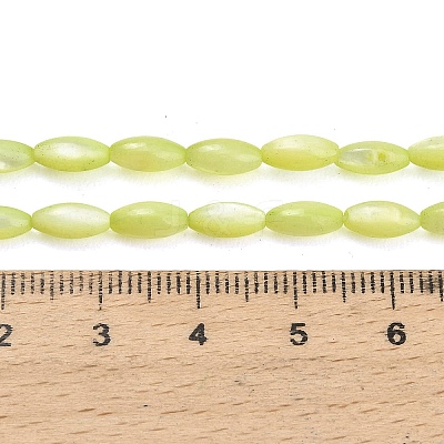Natural Freshwater Shell Beads Strands X-SHEL-C010-01D-1