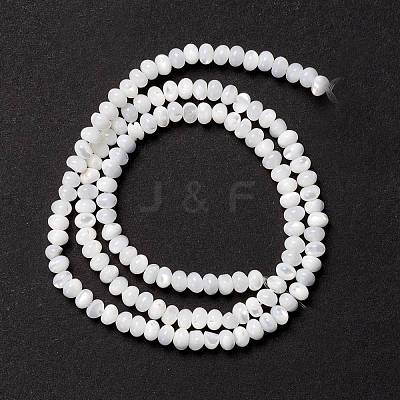 Natural Trochid Shell/Trochus Shell Beads Strands SSHEL-O001-24B-02-1