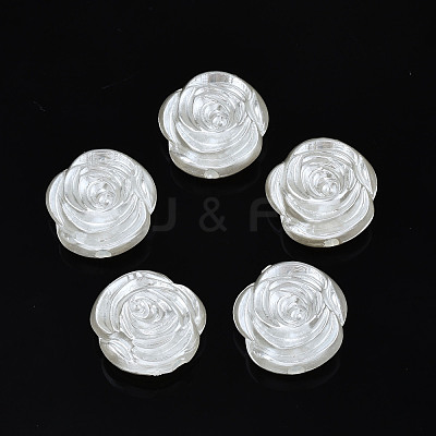 ABS Plastic Imitation Pearl Beads OACR-N008-142-1