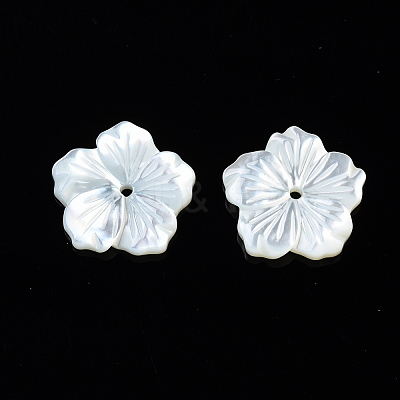 Natural White Shell Mother of Pearl Shell Beads SSHEL-T014-42A-1