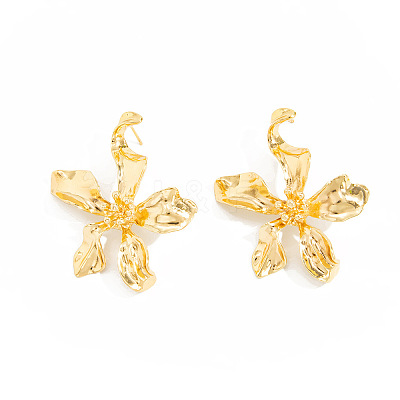 Alloy & Iron Stud Earrings for Women WGCAC55-01-1