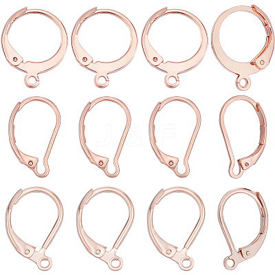 60Pcs 3 Styles 304 Stainless Steel Leverback Earring Findings STAS-BBC0008-30A-1