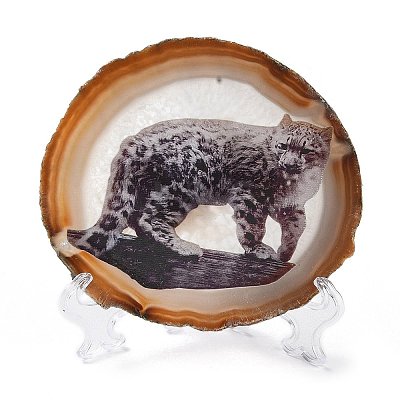 Printed Natural Agate Slice Stone Ornament DJEW-M011-03G-1