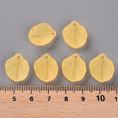 Transparent Frosted Acrylic Pendants MACR-S371-02A-719-1
