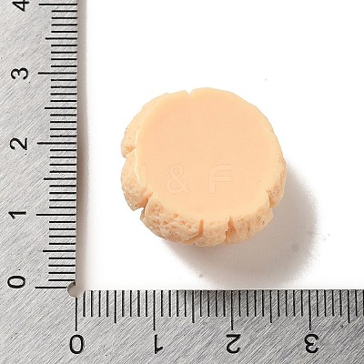 Opaque Resin Imitation Food Decoden Cabochons CRES-A058-02A-1