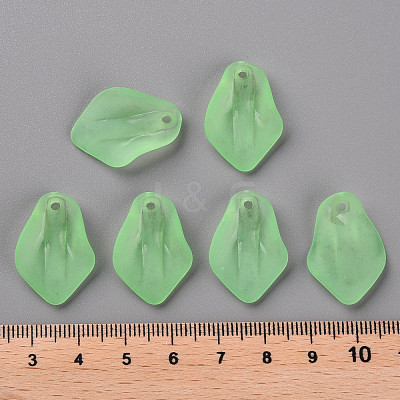 Transparent Frosted Acrylic Pendants MACR-S371-03A-733-1