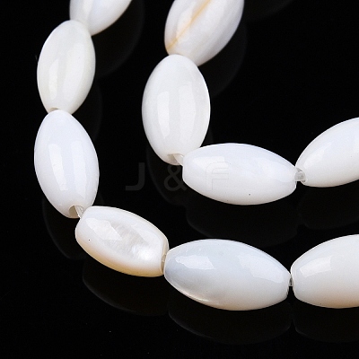 Natural Freshwater Shell Beads Strands X-SHEL-N026-212-A01-1
