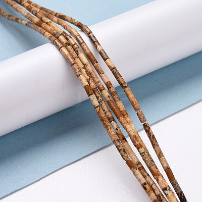 Natural Picture Jasper Beads Strands G-M389-12-1