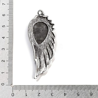 Natural Larvikite Big Pendants G-G112-02AS-06-1