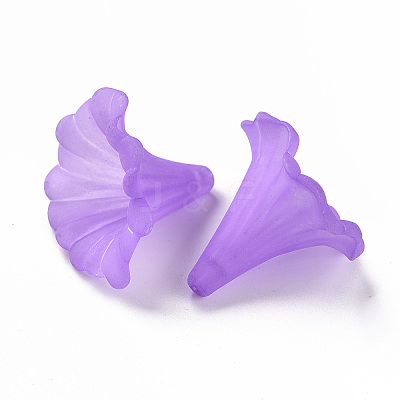 Transparent Acrylic Beads X-BSF796-C26-1
