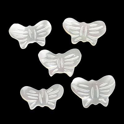 Natural White Shell Charms BSHE-G034-31-1