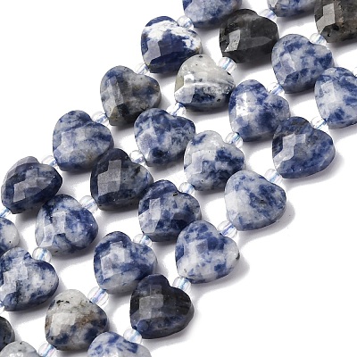 Natural Blue Spot Jasper Beads Strands G-P570-E19-01-1