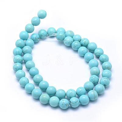Natural Magnesite Beads Strands TURQ-G148-07-8mm-1