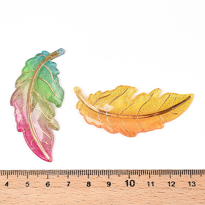 Printed Translucent Acrylic Big Pendants OACR-T028-25-1