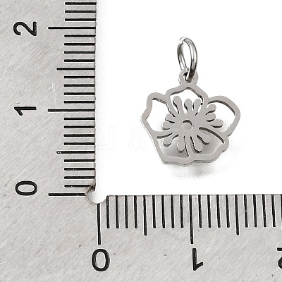 304 Stainless Steel Charms SA-CBA4CE0-01P-B-1