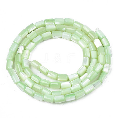 Natural Trochid Shell/Trochus Shell Beads Strands X-SHEL-N003-26-B08-1