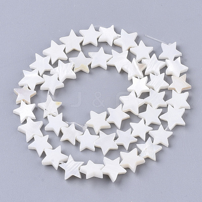 Freshwater Shell Beads Strands SHEL-T014-009G-1