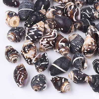 Spiral Shell Beads X-SSHEL-T008-24-1
