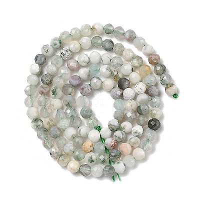 Natural Tree Agate Beads Strands G-G189-D12-03-1