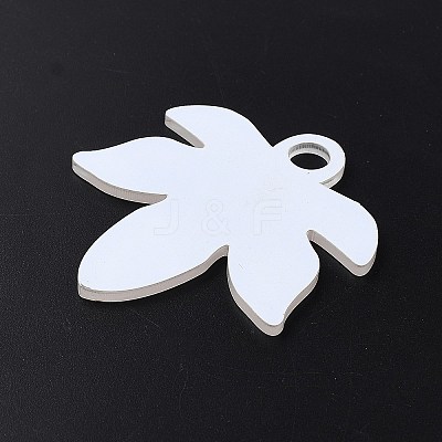 Acrylic Heat Transfer Big Pendants FIND-WH20002-24B-1