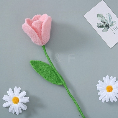 DIY Needle Felting Kit DIY-E037-10-1