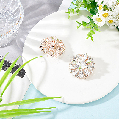 2Pcs Alloy Rhinestone Shoe Decorations AJEW-FG0003-72B-1