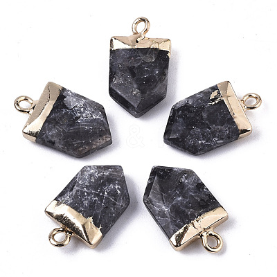 Natural Larvikite Pointed Pendants X-G-N326-34B-1
