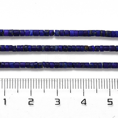 Natural Lapis Lazuli Beads Strands G-Z074-C01-1