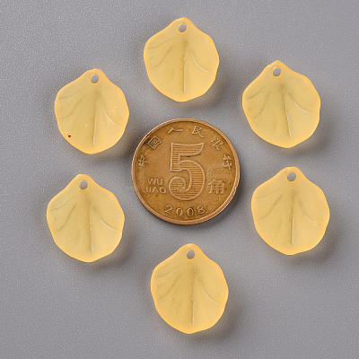 Transparent Frosted Acrylic Pendants MACR-S371-02A-719-1
