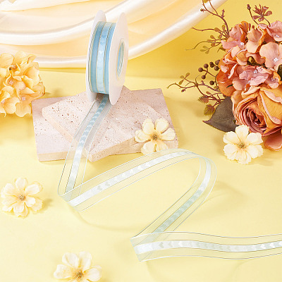 Polyester Lace Ribbon OCOR-TADJ0001-07G-1