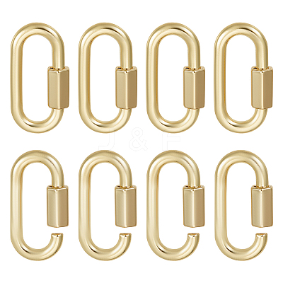 6Pcs Alloy Screw Carabiner Lock Charms FIND-UN0003-31LG-1
