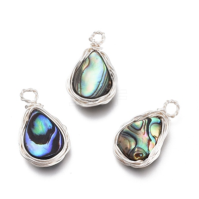 Natural Abalone Shell/Paua Shell Pendants PALLOY-JF00477-02-1