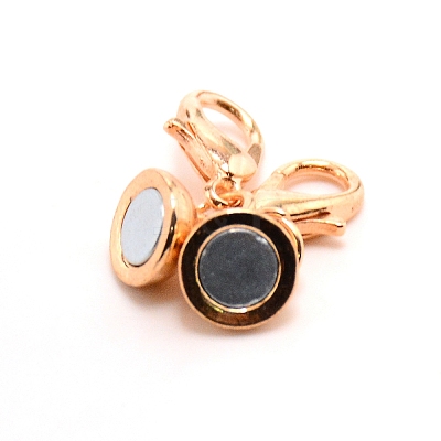 Alloy Magnetic Clasps FIND-CJC0012-003G-1