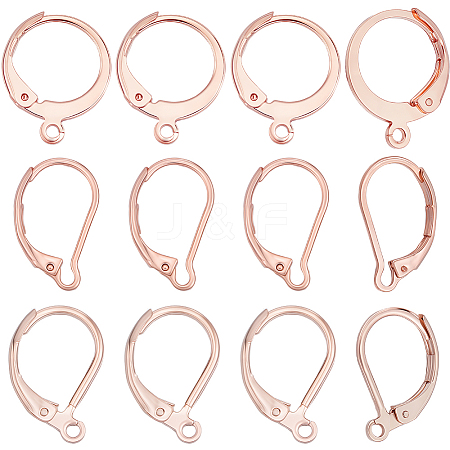60Pcs 3 Styles 304 Stainless Steel Leverback Earring Findings STAS-BBC0008-30A-1