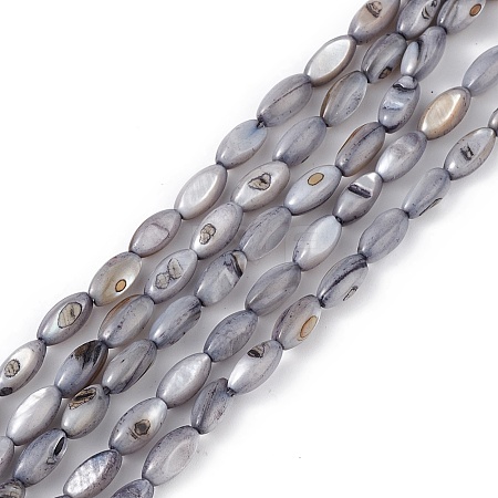 Natural Freshwater Shell Dyed Beads Strands SHEL-M018-13-04-1