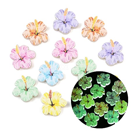 Luminous Printed Opaque Resin Beads RE-CBAC4C7-24-1