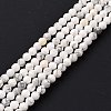 Natural Howlite Beads Strands G-H273-02B-2