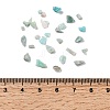 Natural Amazonite Chip Beads G-O103-08-2