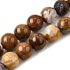 Natural African Opal Beads Strands G-S390-06-10mm-2