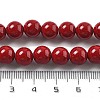 Synthetic Turquoise Beads Strands G-A255-A04-01A-4