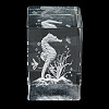 3D Laser Engraving Animal Glass Figurine DJEW-R013-01C-3