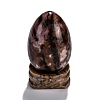 Natural Rhodonite Display Decorations DJEW-G018-09-1