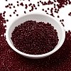 MIYUKI Round Rocailles Beads SEED-JP0009-RR0141-2